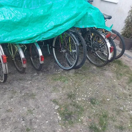 Rodzinny 1 Pietro Daire *